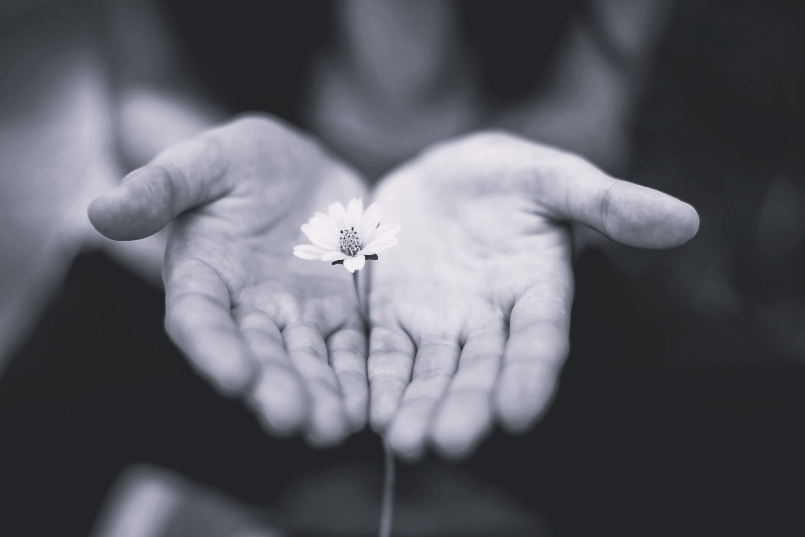 Breast Cancer Recovery Coaching At The HealthHub Kingsbridge