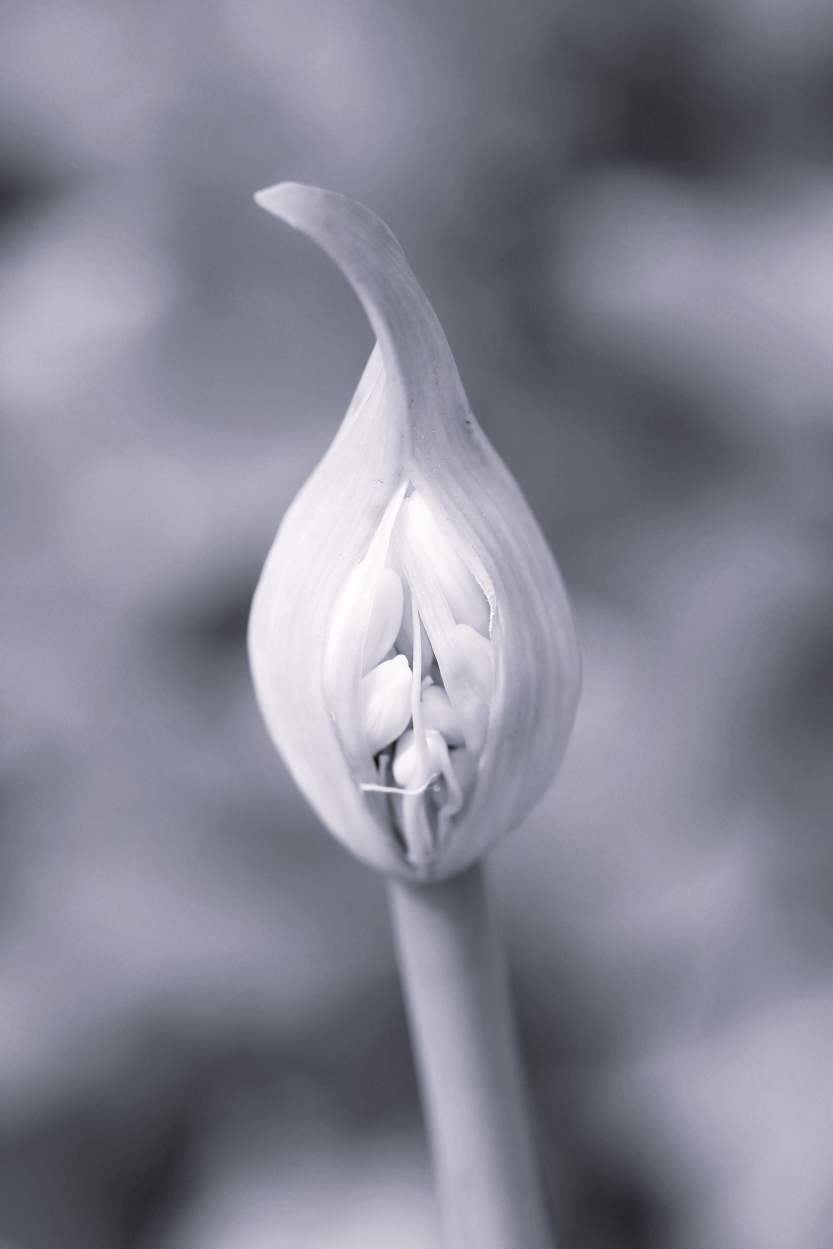 HealthHub Kingsbridge Blog You Don’t Have to Bounce Back A Kinder Way to Rebuild After Breast Cancer 