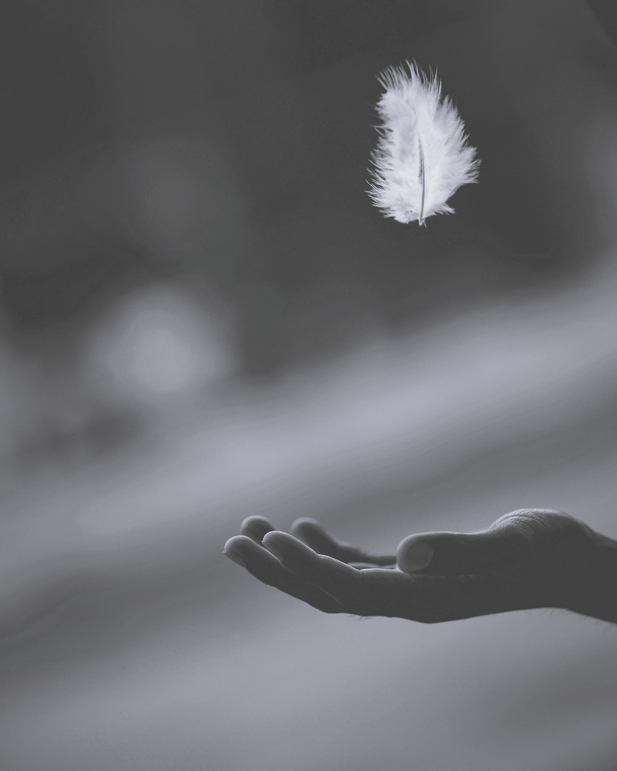 Health Coaching Kingsbridge — HealthHub Kingsbridge