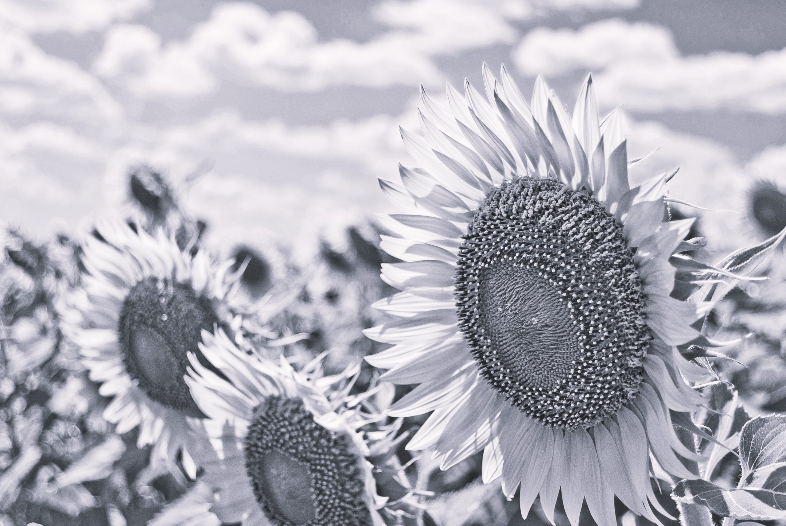 HealthHub-Kingsbridge-Blog-Why-Rest-Doesnt-Always-Feel-Restful-
