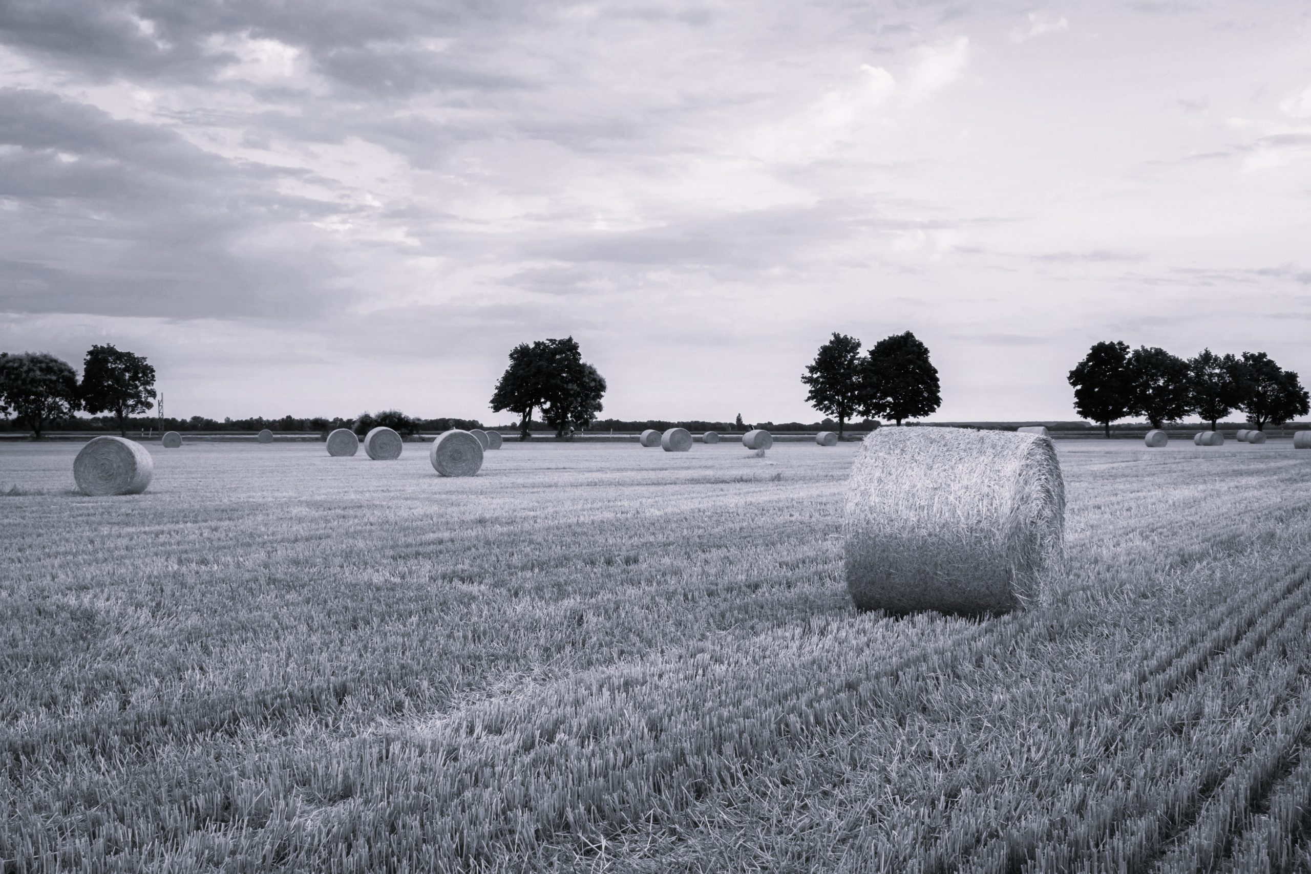 HealthHub Kingsbridge Blog August Pressures Finding Calm, Strength and Balance as the Seasons Begin to Change