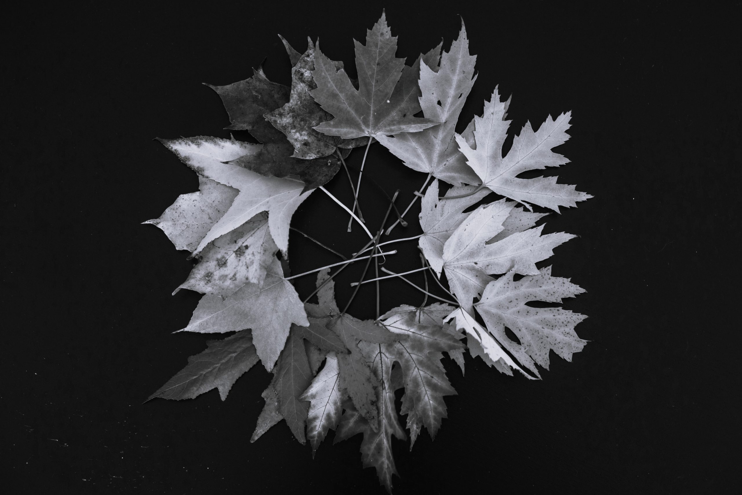 HealthHub Kingsbridge Blog Preparing Your Body for Winter Starts in Autumn